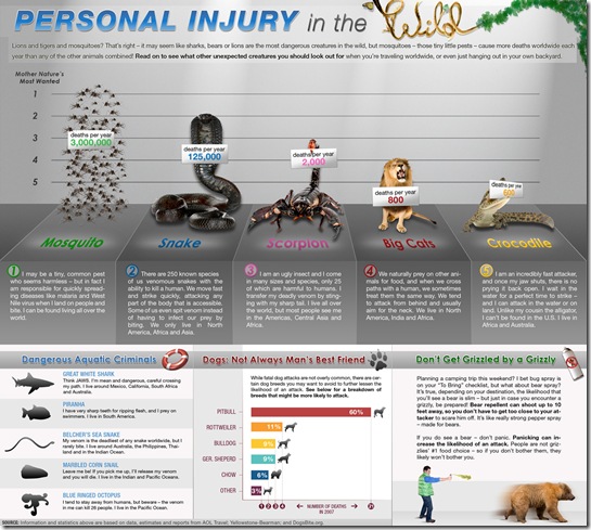 wild animal personal injury infographic