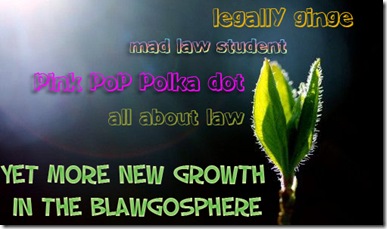 more growth in the blawgosphere 