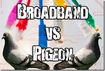 broadband vs pigeon