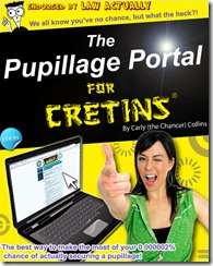 Pupillage Portal for Cretins
