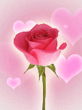 CtnWms242593975.png