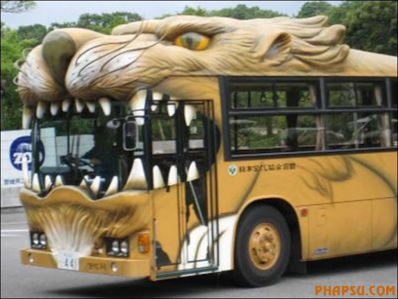 funny-bus-images04.jpg