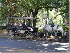 Horse-and-Carriage