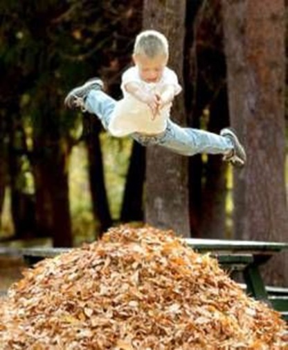 securedownload (5)