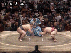 [Sumo-Extreme[2].gif]