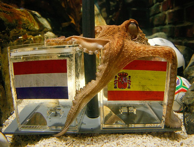 [polvo_espanha_reu_60.jpg]
