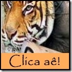 Desmotivacioal (camuflagem)