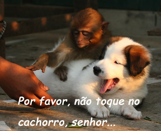[naotoquenocahorro meketrecando[4].png]