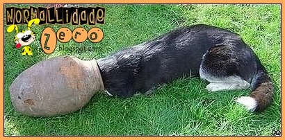 [Animal-Get-Amazingly-Stuck-20[1].jpg]