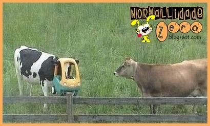 [Animal-Get-Amazingly-Stuck-9[1].jpg]