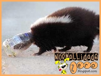 [Animal-Get-Amazingly-Stuck-12[1].jpg]