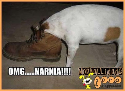 Animal-Get-Amazingly-Stuck-15