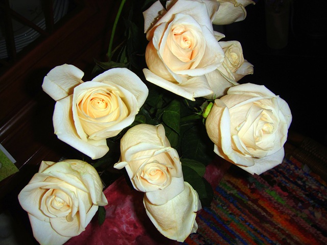 [Flowers on Sale Roses[5].jpg]