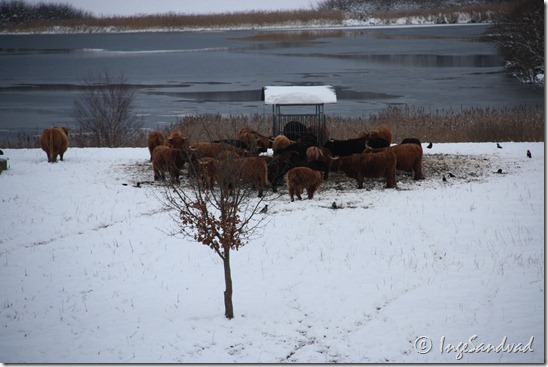 IMG_9310 IMG_9310