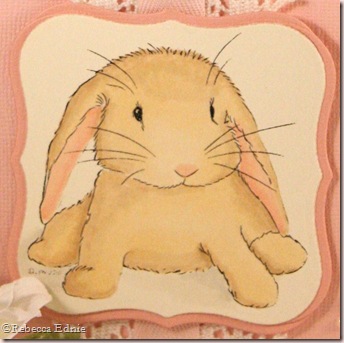 baby bunny wabbit closeup