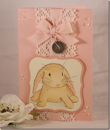 baby girl bunny wabbit