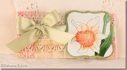 daffodil gift card holder