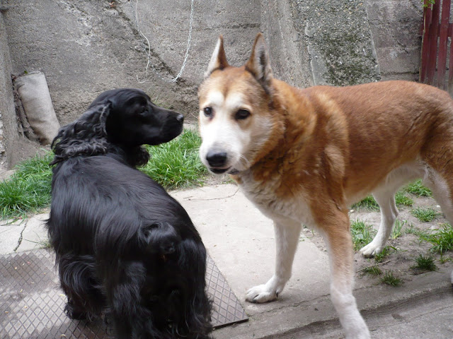 P1000079.JPG