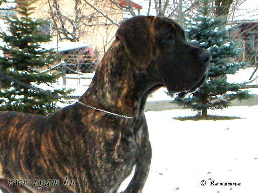lormont_web%20%2815%29.JPG