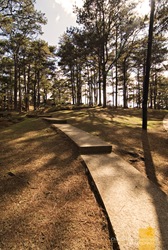 Camp John Hay's hilly pathways