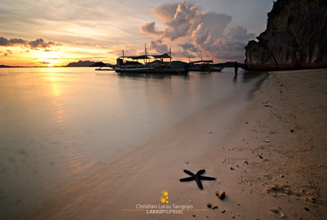 A Starfish During Sunset at Coron's Banol Beach