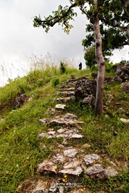 Up the Hill at Malcapuya Island
