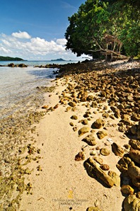 Rocky Shoreline at the Eastside of Banana Island