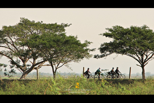 Bikers Pedaling Along the Candaba Bird Sanctuary