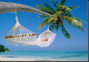 travel-business-hammock-beach1