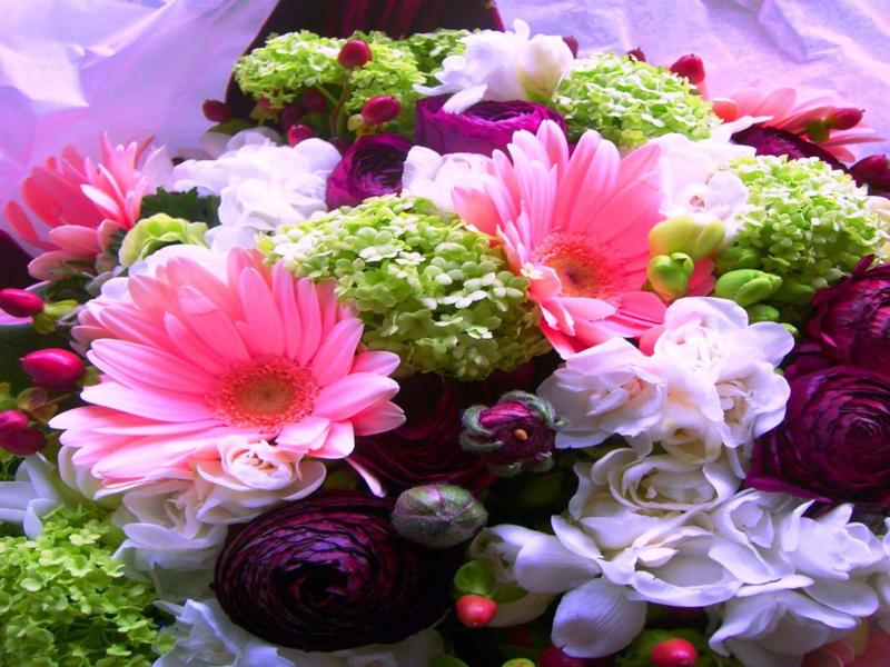 35_800x600.jpg