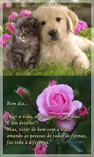 Recado Para Orkut - Amor: 1