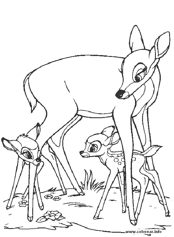 Bambi08