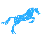 caballos (3)