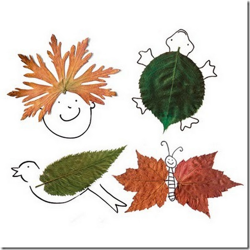 Actividad animales y figuras hechos con hojas secas