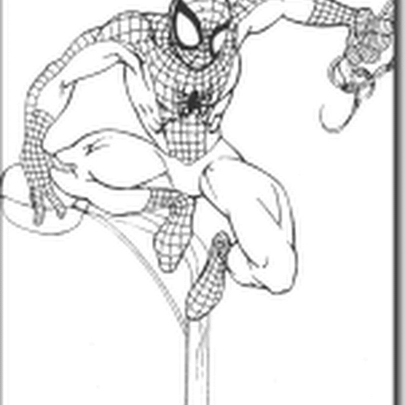 Spiderman, dibujos infantiles para colorear