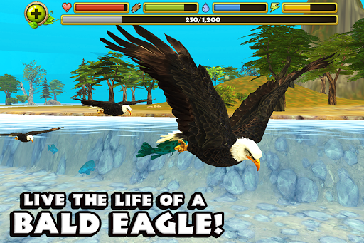 Eagle Simulator