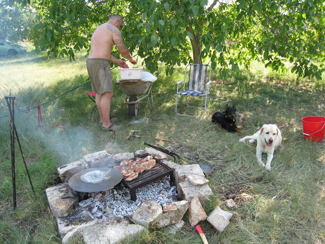 IMG_4049.JPG