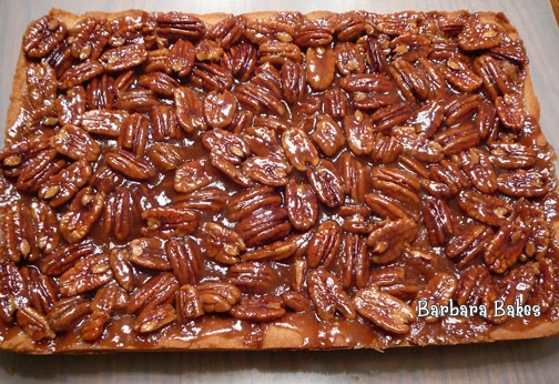 [pecansquares[8].jpg]