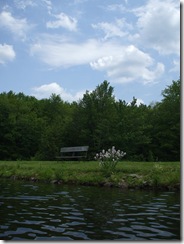 serenity