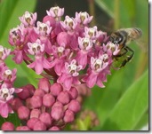 DSCF1470