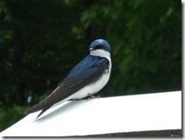 DSCF1165