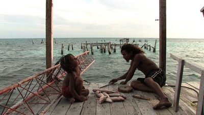 Photo du film Alamar - To the Sea de Pedro Gonzalez-Rubio, 2009