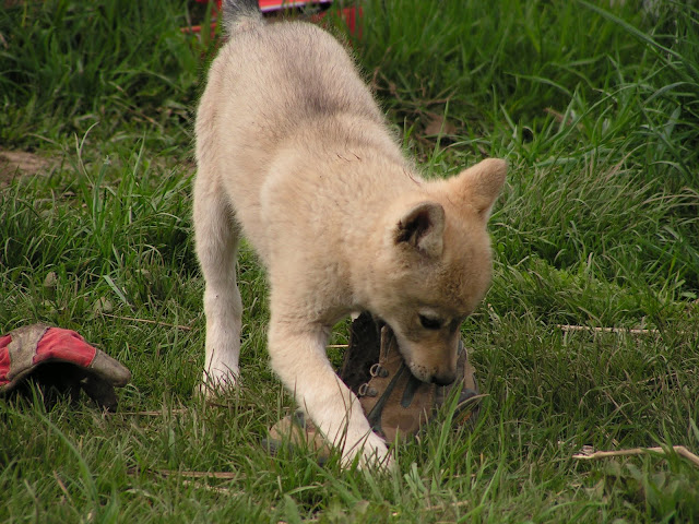 PICT0183.JPG