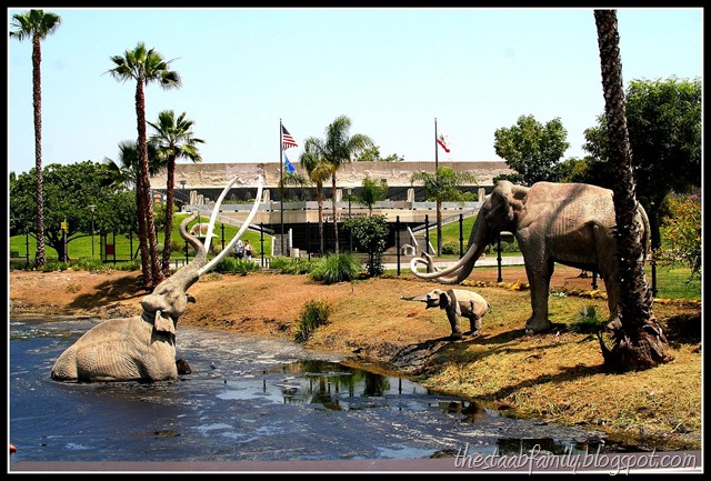 [Road Trip Day 1 064_picnik[2].jpg]