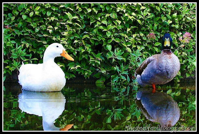 [Road Trip Day 1 023_picnik[6].jpg]