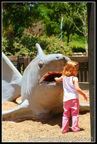 [Road Trip Day 1 029_picnik[7].jpg]