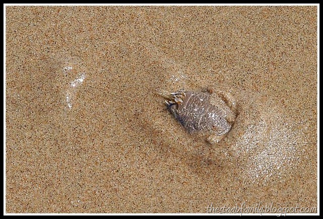 [Road Trip Day 1 041_picnik[6].jpg]