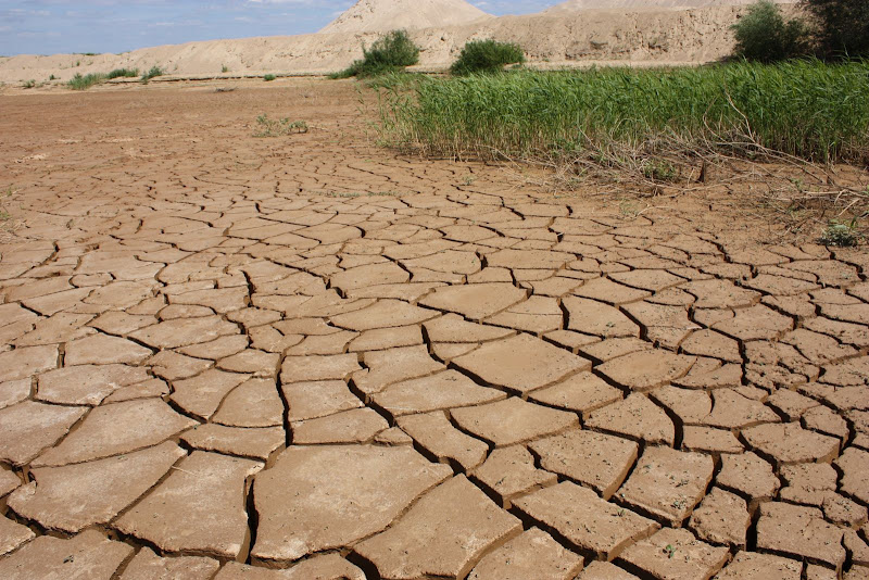 Подмосковная пустыня - карьер в Сычево.