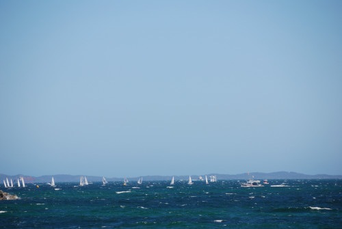 [DSC_07963.jpg]