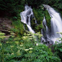 Forêt nationale Umpqua , Oregon, USA.jpg